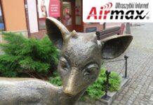 internet stacjonarny airmax Jelenia Góra